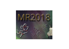 MR2018 conference in Norway